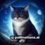 用户NightOwl夜猫头像